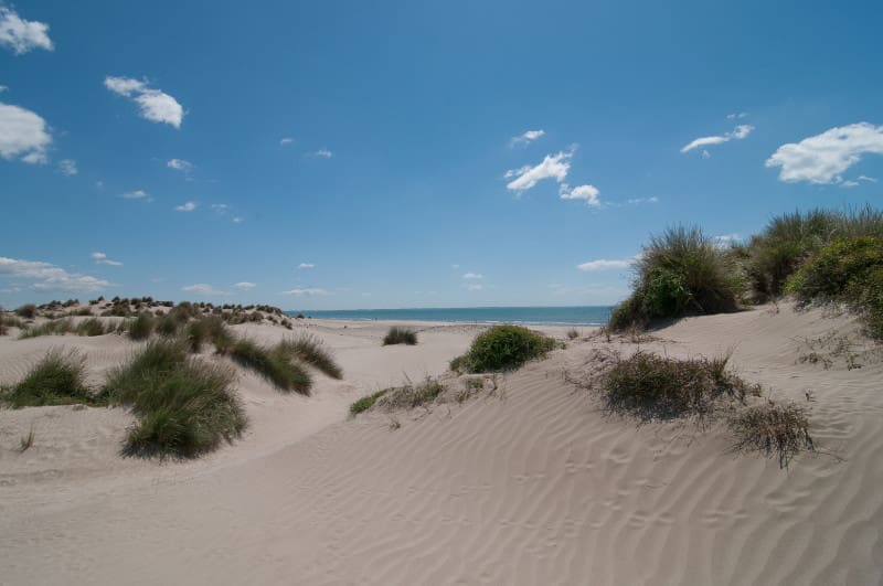Plage du Grand Travers ou dune au coucher du soleil