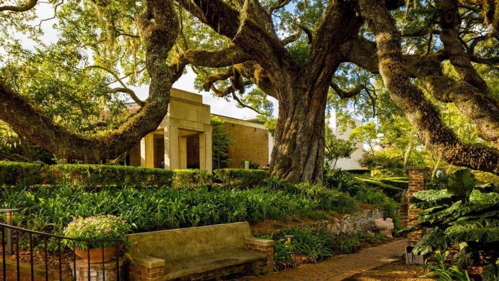 a photo of the Cummer Museum gardens facing the St. Johns River