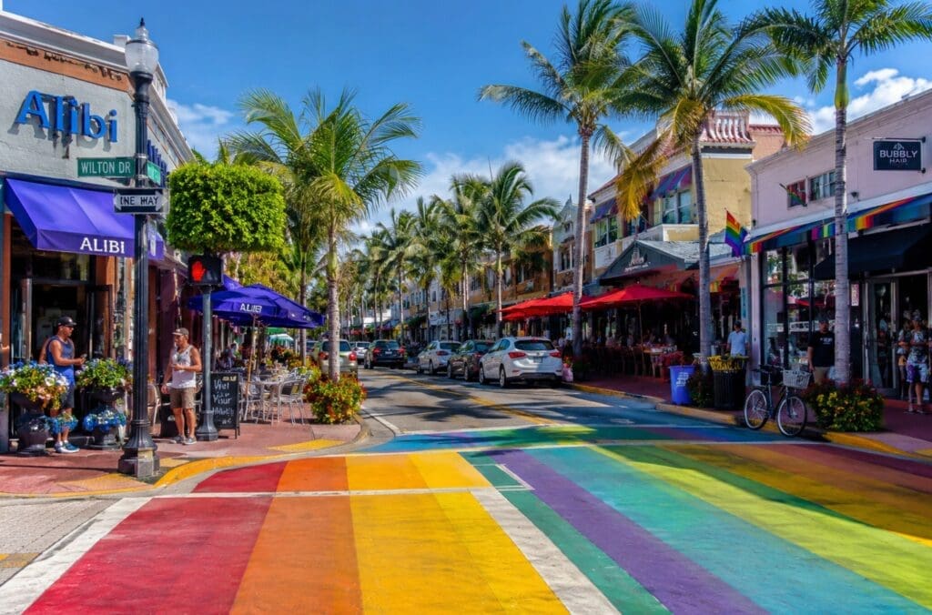 photograph of the rainbow crosswalks and palm-lined storefronts on Wilton Drive